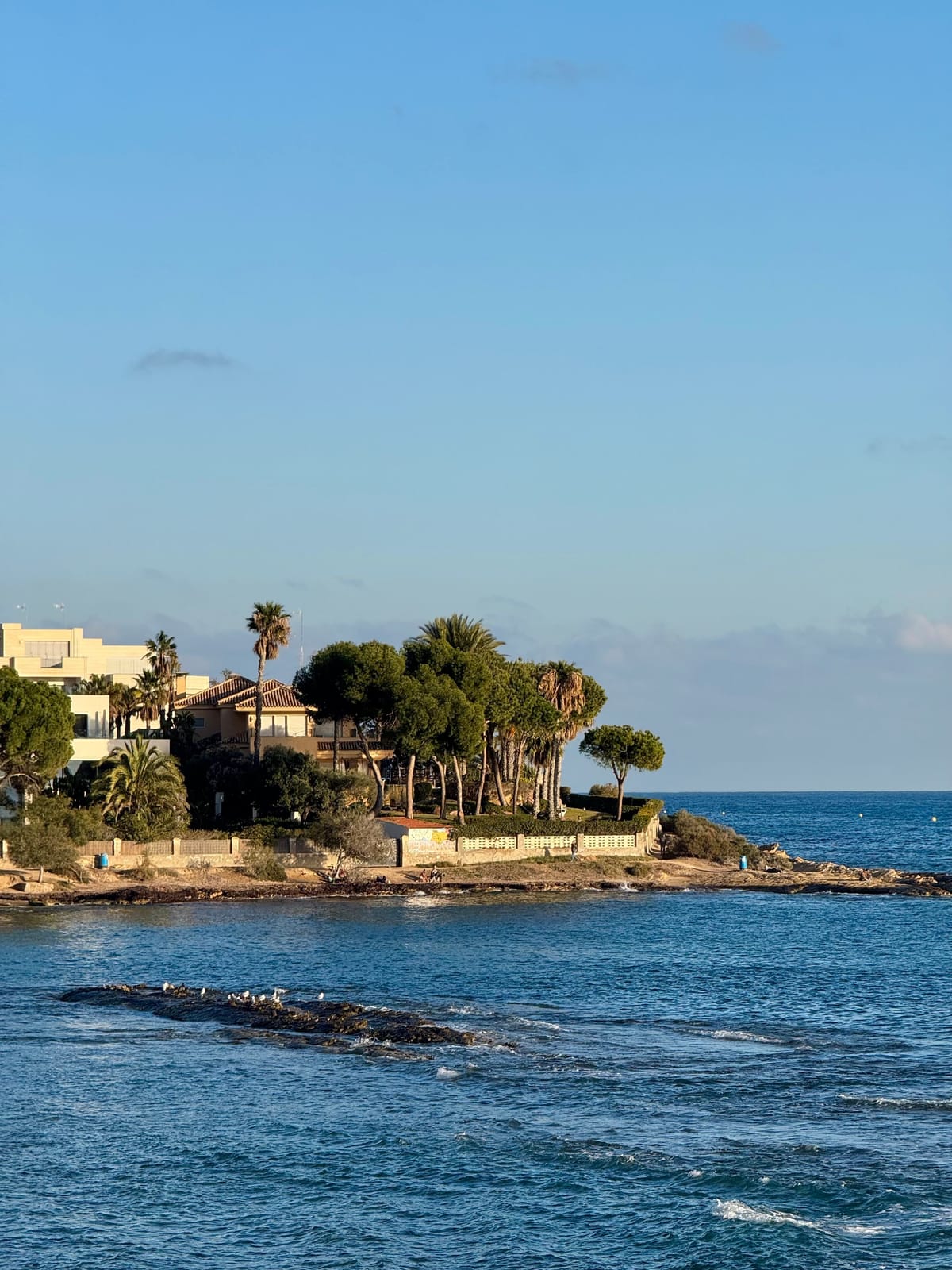 Nes med palmer ved havet på Costa Blanca