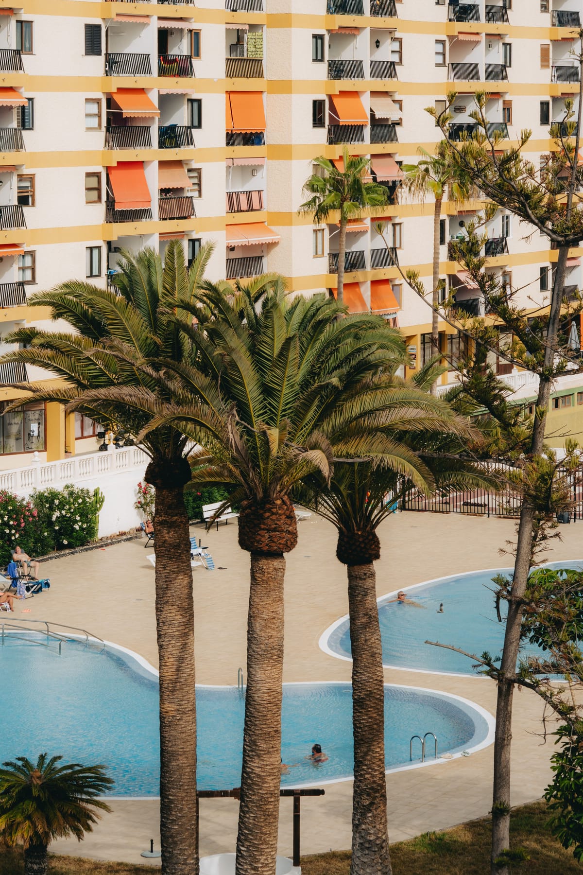 Basseng og palmer i et leilighetsanlegg i Los Cristianos
